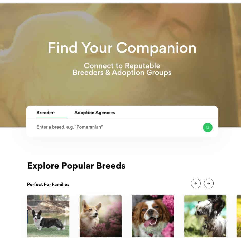 Screenshot of PETspot website for safe puppy purchase for online pet scams this Scam Awareness Week.
