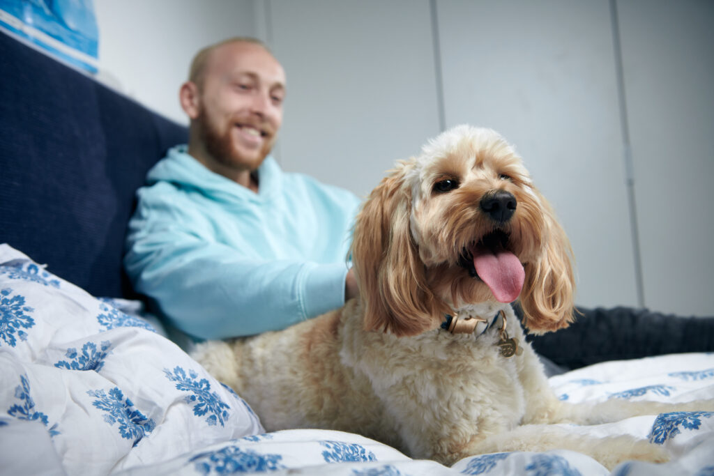 Man patting og on bed for Compare the Market pet survey shows Australian pet owners consider their animals as family