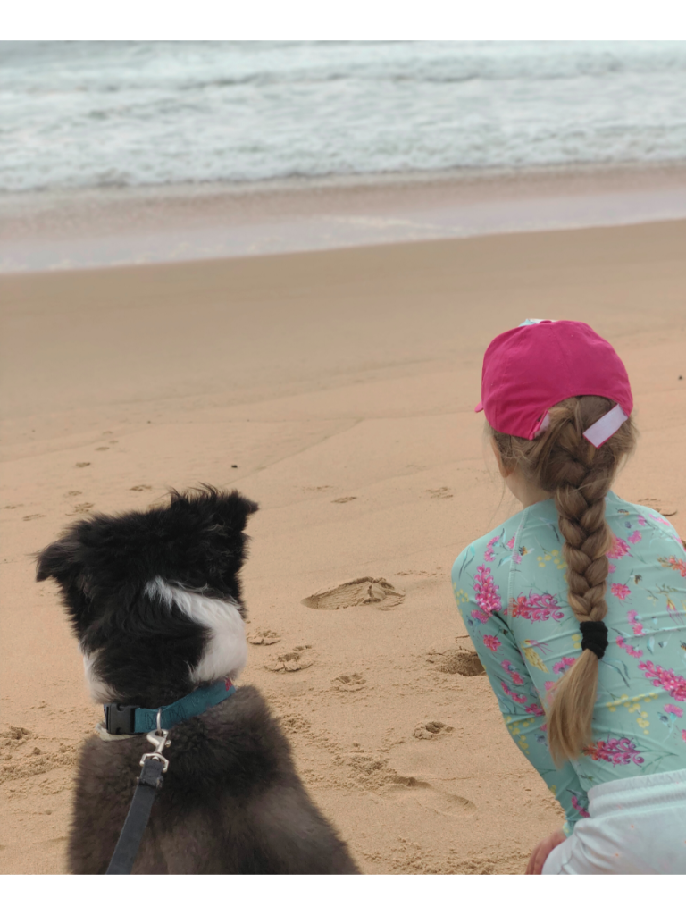 Don't let your pooch miss out on the family holiday (credit: Michelle Minehan)