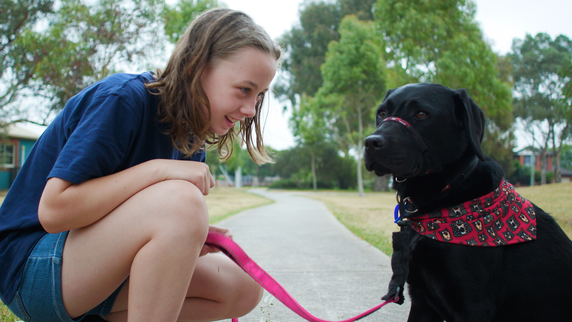 Shiloh and Labrador Indie, one of the wonderful therapy dogs in Australia helping kids: for Animal Friendly Life