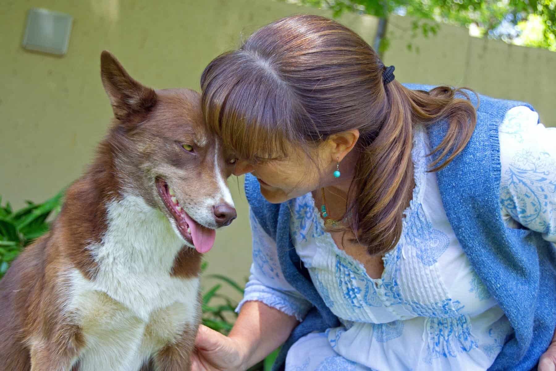 World Vet Day woman rubbing heads with dogs