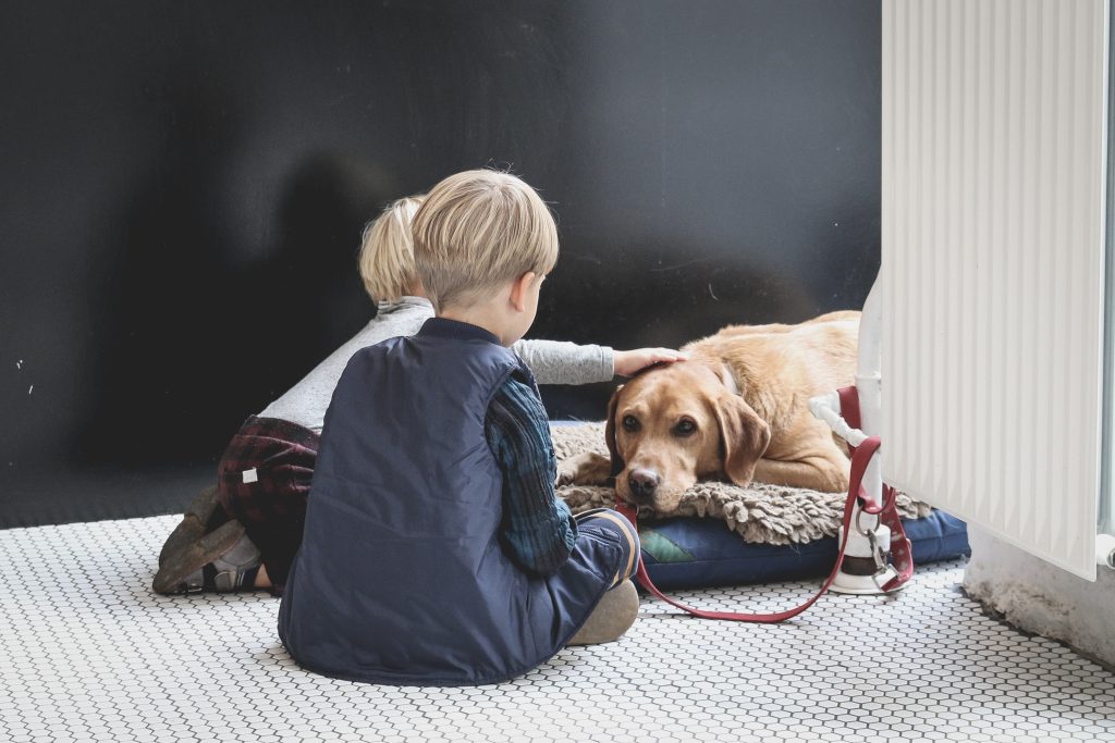 two young boys pat their senior pet at home for Adopt a Senior Pet Month and tips for caring for senior pets.