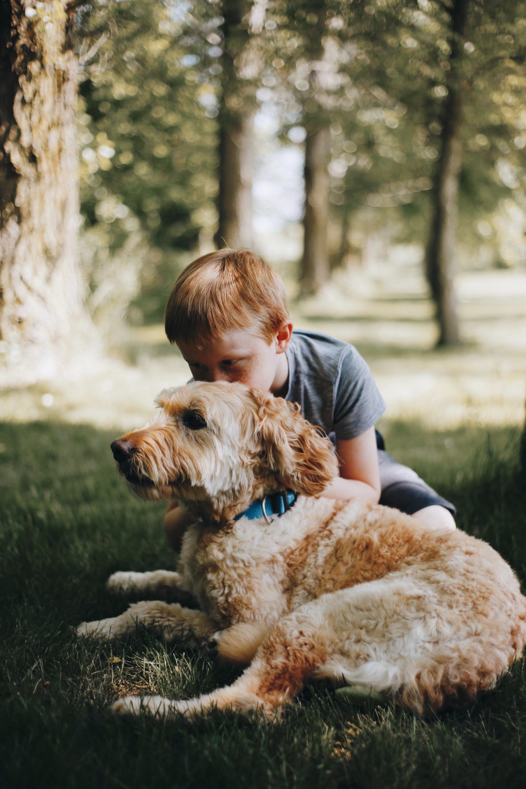 Boy with puppy for best pets for kids