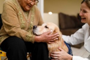 Labrador with elderly owner in aged care home