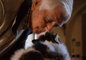 Elderly man giving his pet cat a kiss