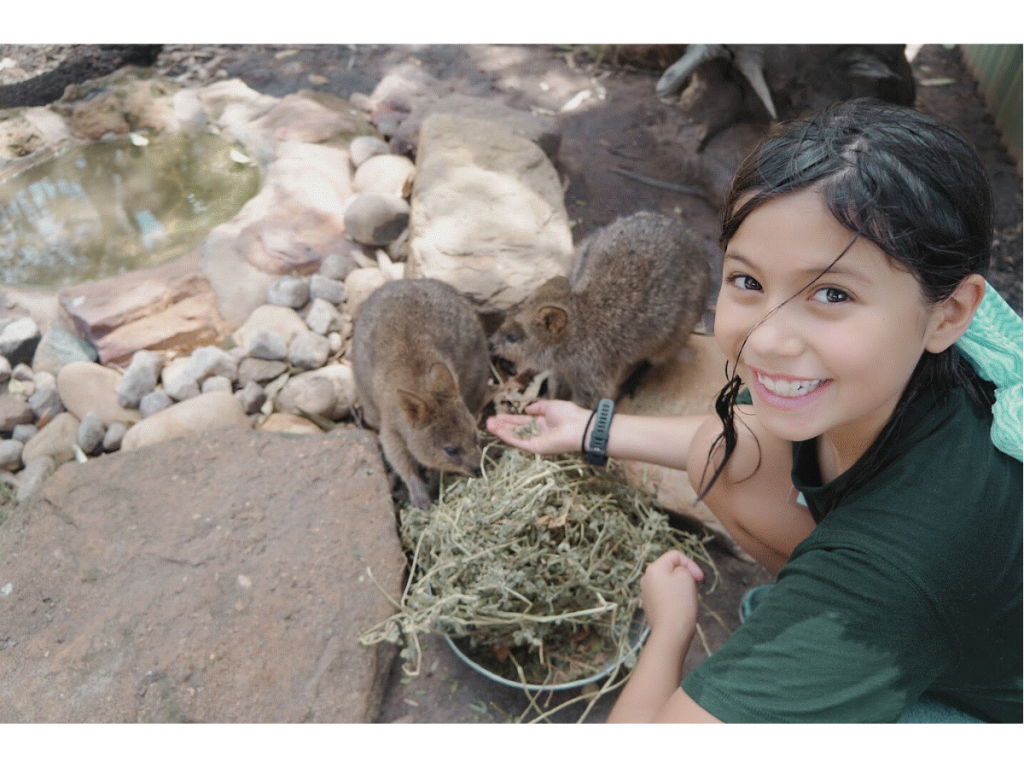 Girl with wallabies at Featherdale for best animal activities for kids and featherdale Wildlife Park is teaching children about animals by offering young zookeeper for the day programs during school holidays
