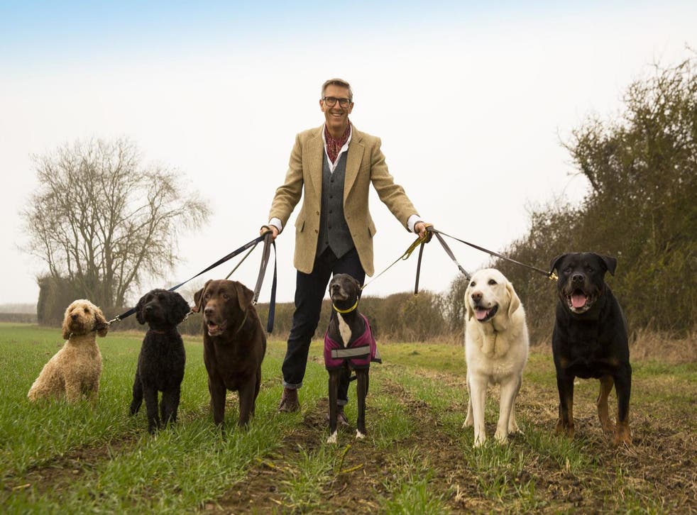 Graeme Hall walks 6 dogs for Dogs Behaving Very Badly