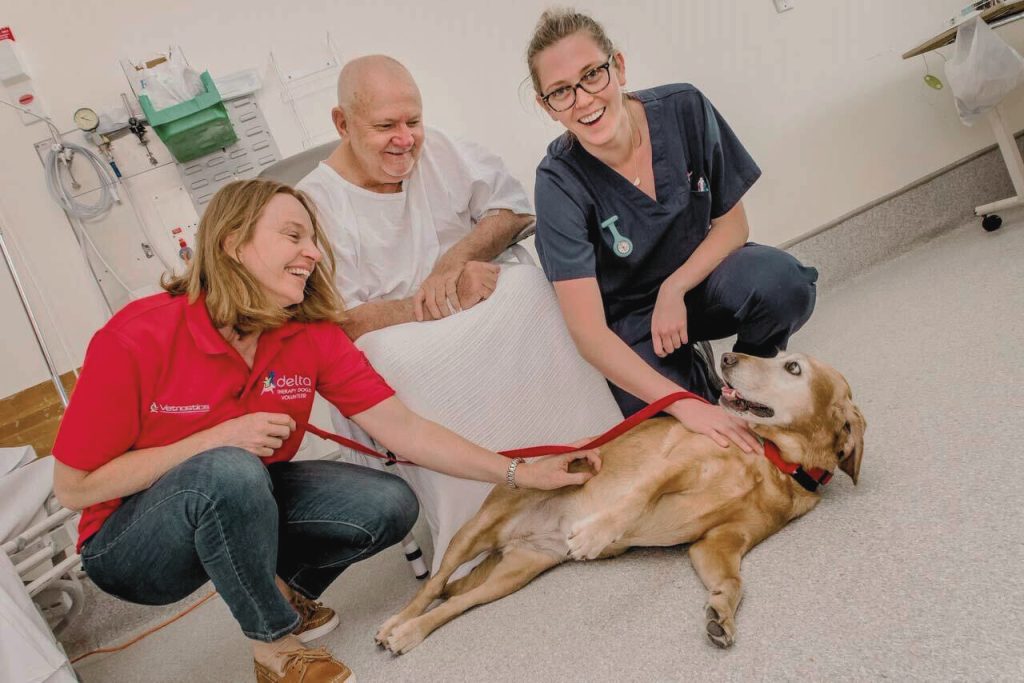 therapy dog visiting patients in hospital