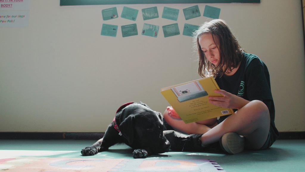 Therapy dog with child