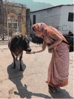 Arcita feeding a cow on the streets in India