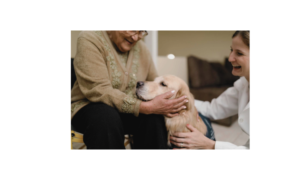 Therapy dog in nursing home getting pats from resident