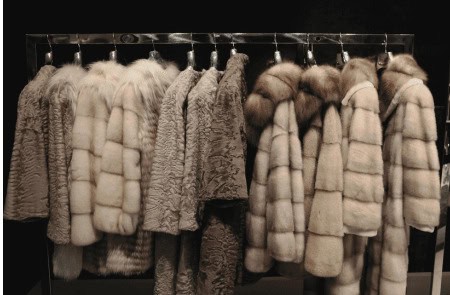 fur jackets hanging on rack, World Animal Protection is pushing for more companies to turn to wildlife-friendly fashion choices