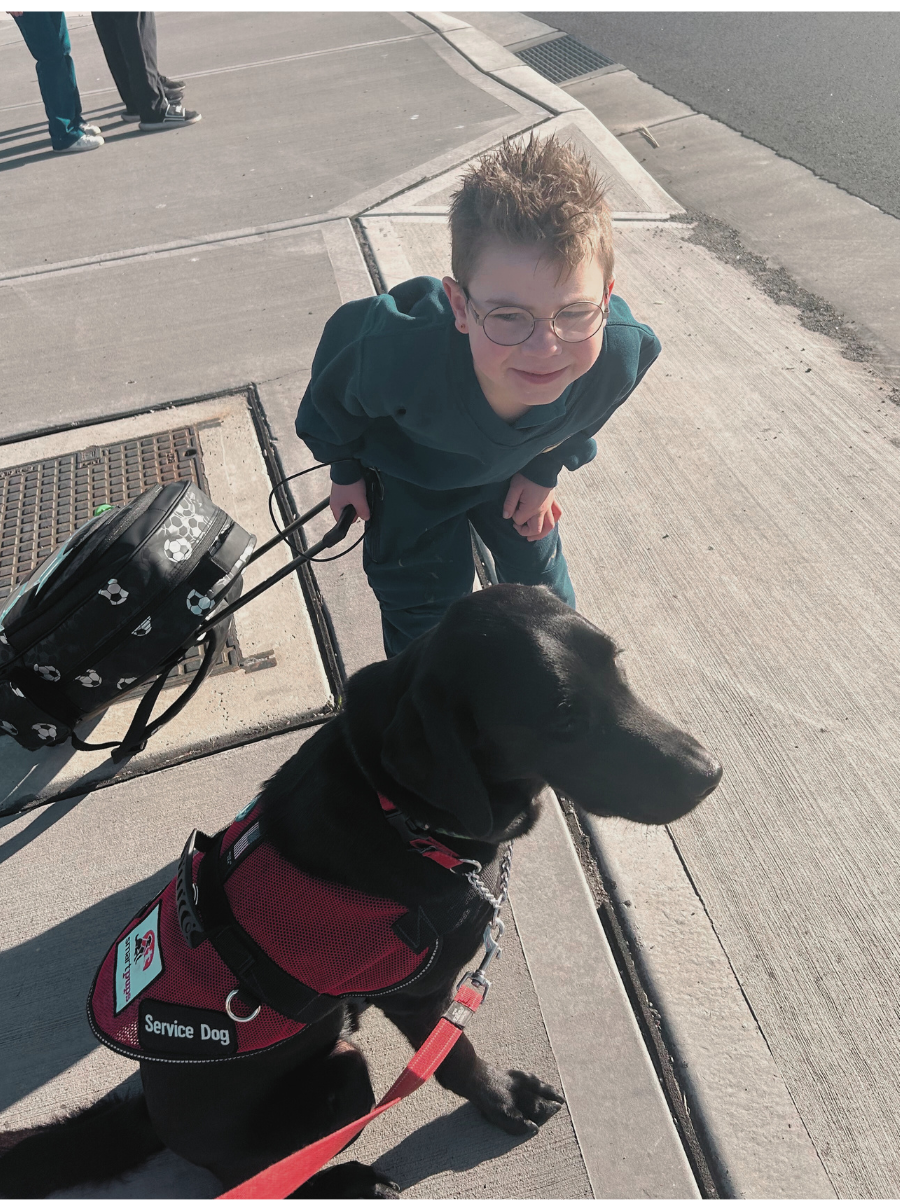 Assistance dog kiwi and Jaxon