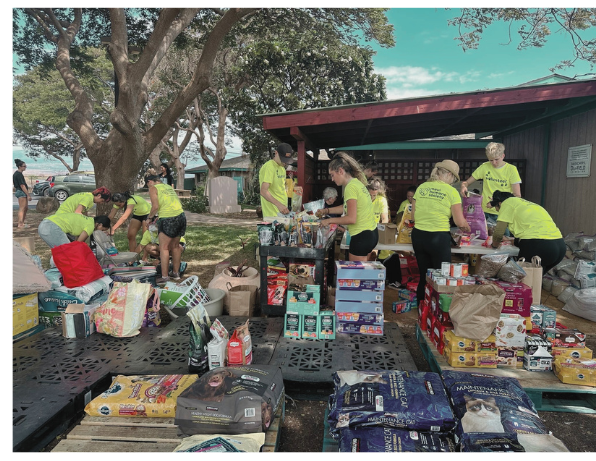 volunteers at Maui animal shelter after fire