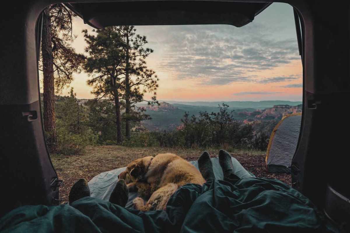 camping with dogs article cover for Animal Friendly Life
