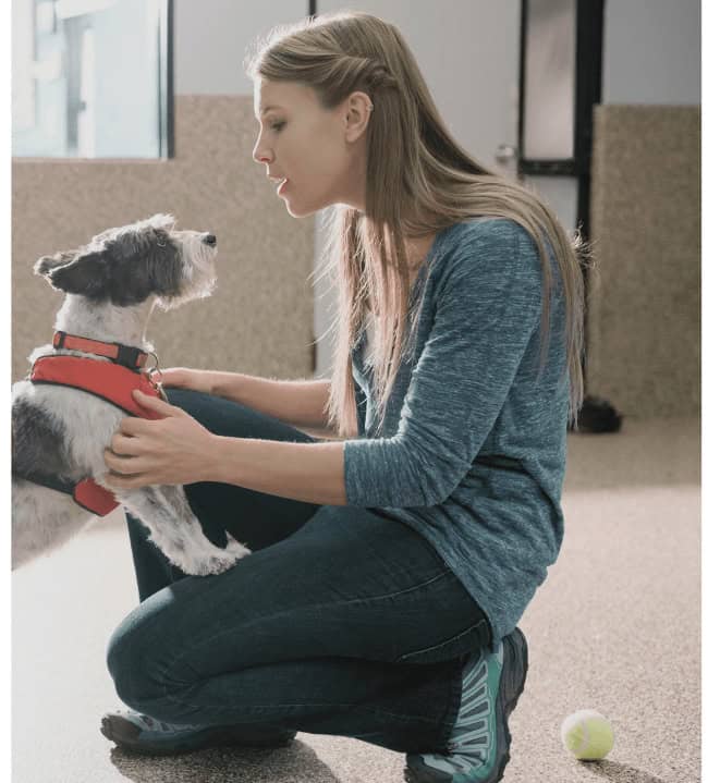 Woman and her dog saying goodbye at doggy day care