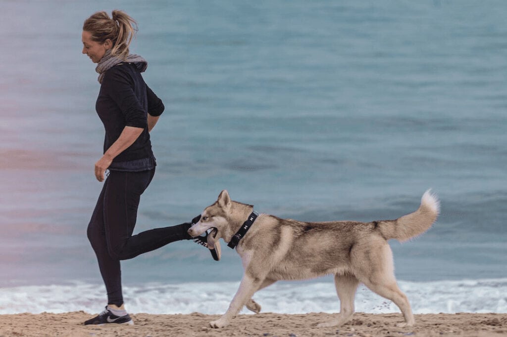 woman and dog running on beach for running with dogs