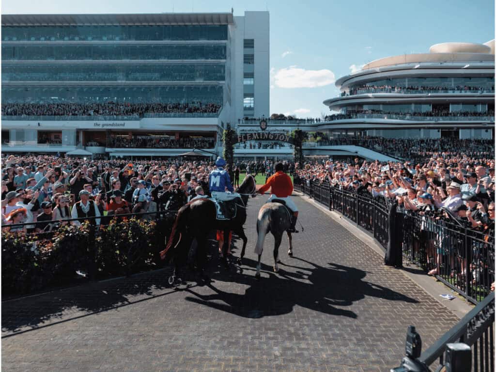 Winning horse Winx after the Melbourne Cup for horse racing animal welfare concerns