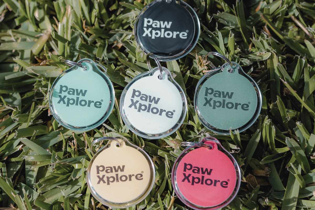 The smart dog tags on grass for increase pet safety with GPS pet tracking