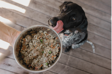 1. LEXI + NO MEAT CHUNKY DINNER_1920x 600