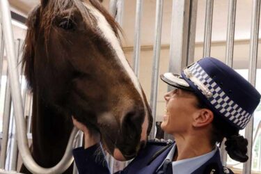 231212 Mounted Unit Upgrade and Memorial Wall 015 INSP