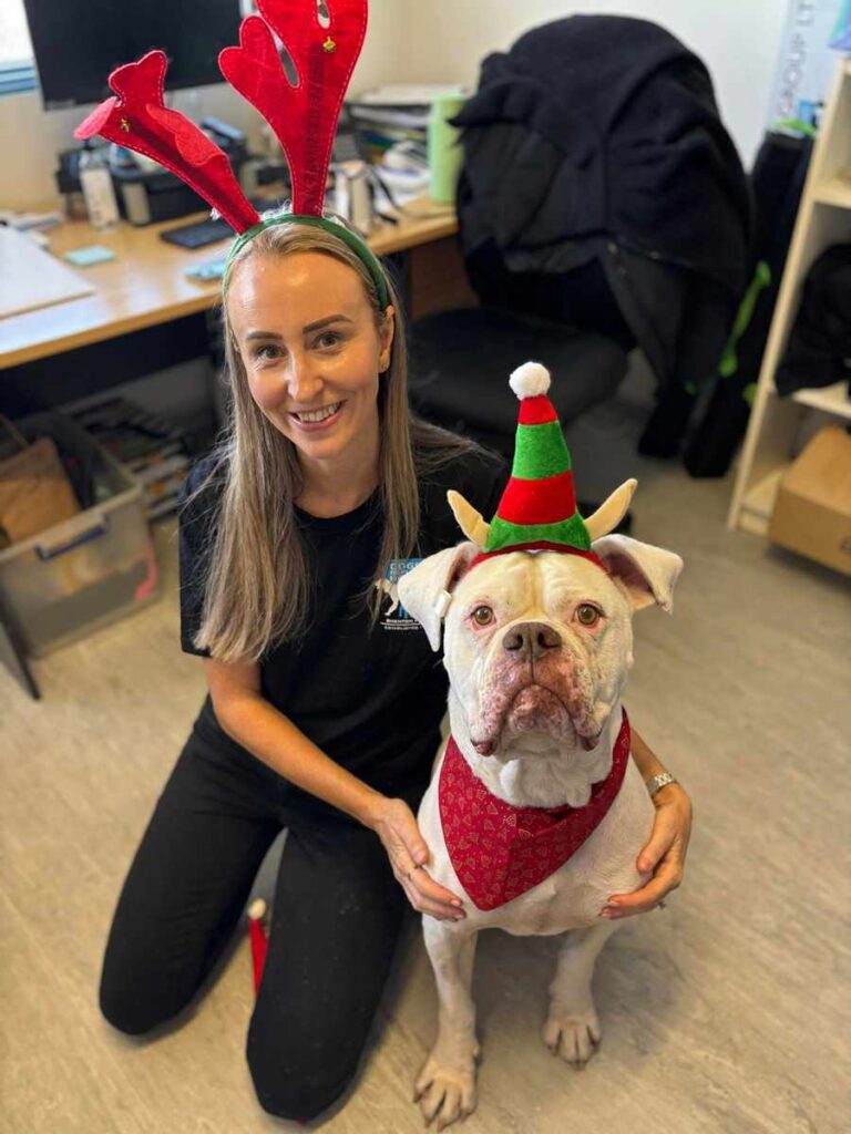 Holly from Dogs Refuge spends christmas with pets