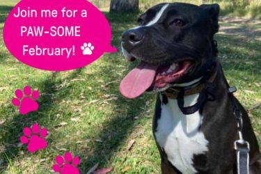 FB Challenge – Launch Post