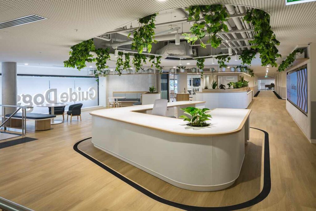 Guide Dogs NSW new sustainable office