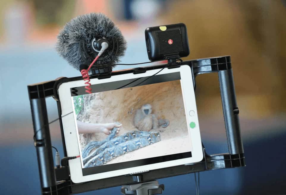 Monkey being used in fake animal rescue video
