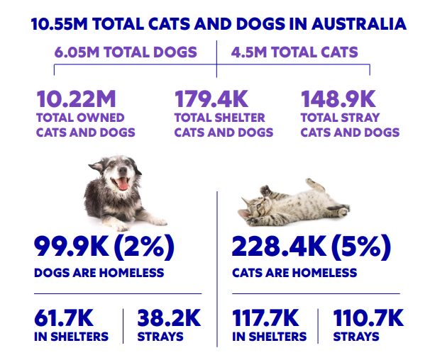Statistics of the homeless pets in Australia data for Animal Friendly Life
