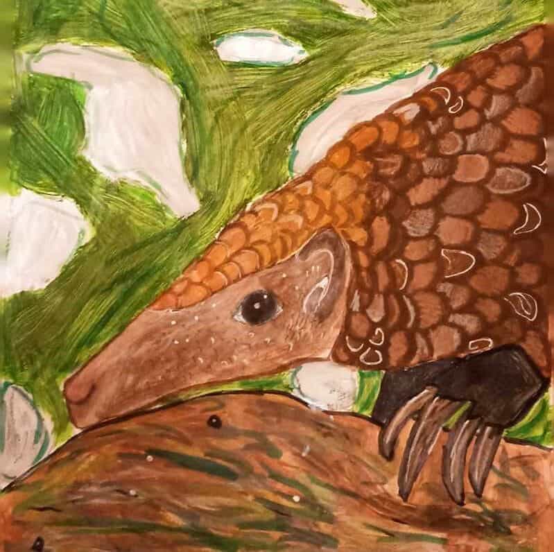 IFAW World Wildlife Day 2024 art contest displaying a winning post from last year