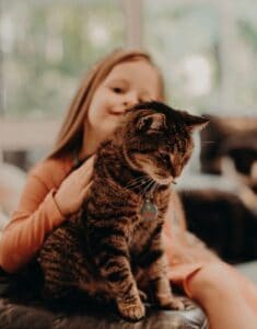 Young girl sitting with a tabby cat on her lap