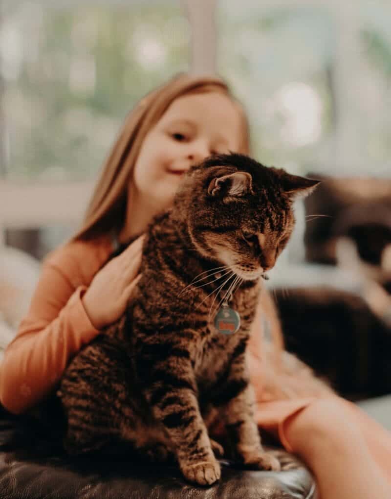 Young girl with pet cat for Animal Friendly Life article on important role of animals in child development