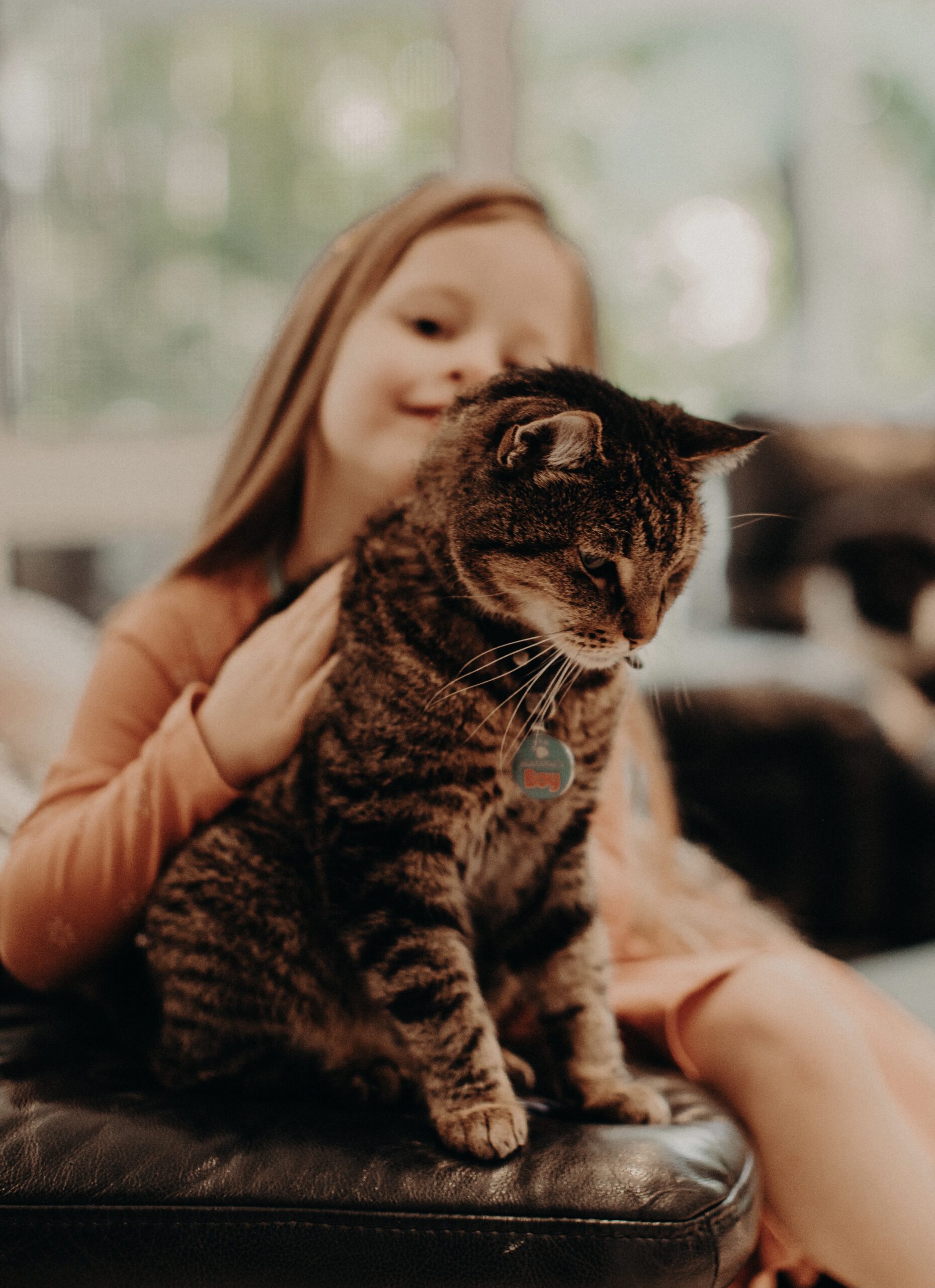 Young girl with pet cat for Animal Friendly Life article on best child-friendly pets