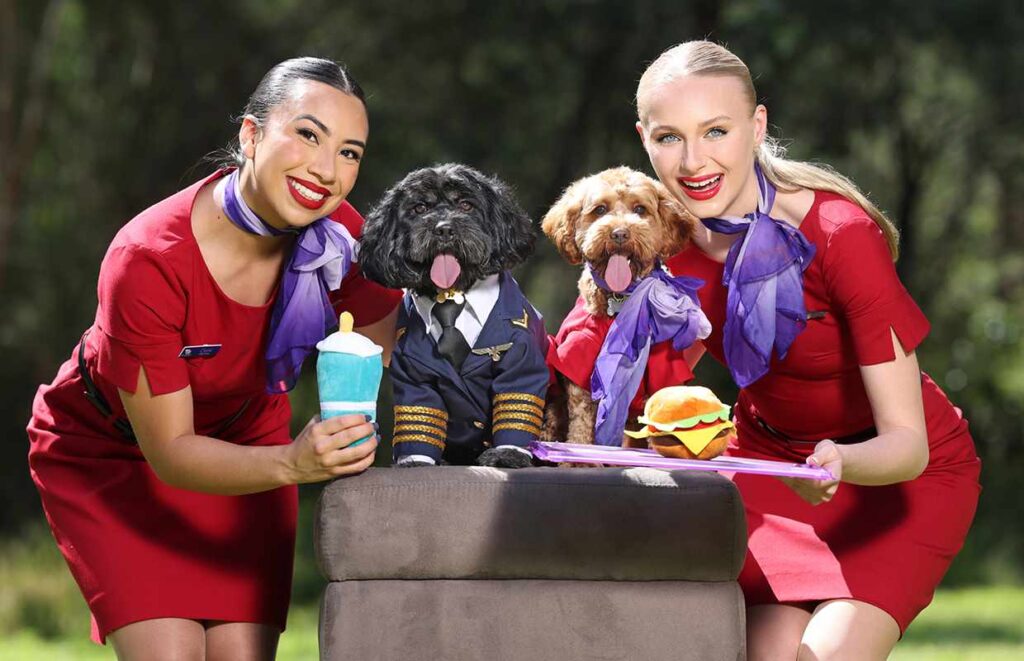 Virgin air hostesses with two dogs to announced plans to be first australian airline to have pets allowed on flights