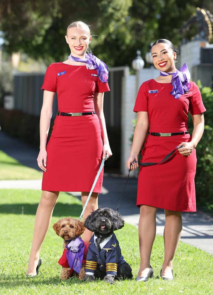 Virgin Airlines hostesses with two dogs to announced pet-friendly flights