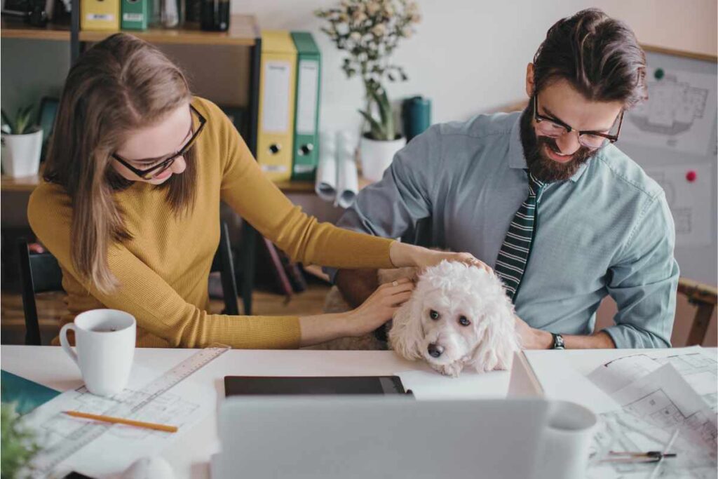 Man and woman in office with white poodle for Animal Friendly Life article on including pets in Wills and everything to know about caring for pets after the owner's death