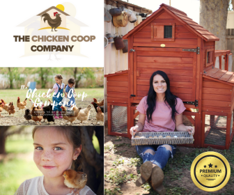 The Chicken Coop Company photo that shows their range of coop options for chicken owners