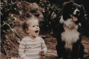 Animals and child development -Animal Friendly Life