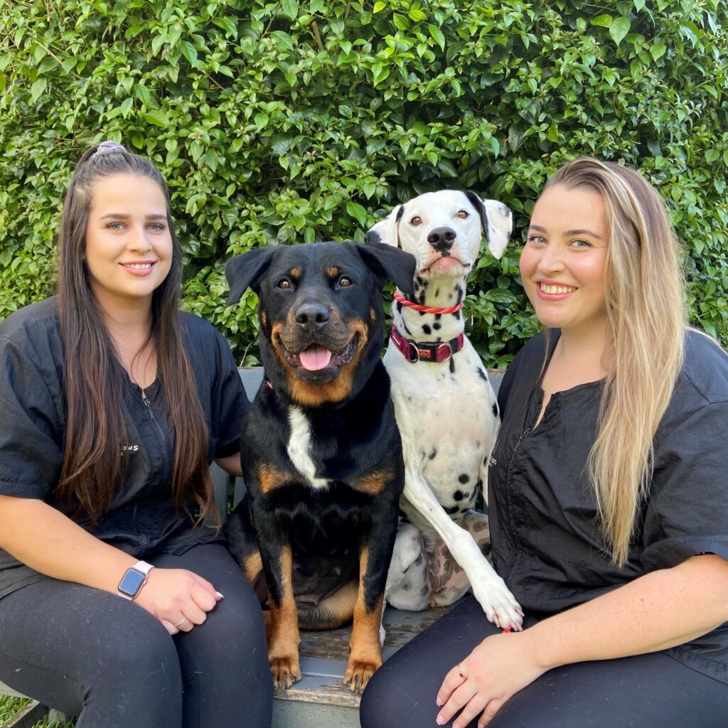 Two women and their dogs. The women studied a dog grooming course at TAFE NSW