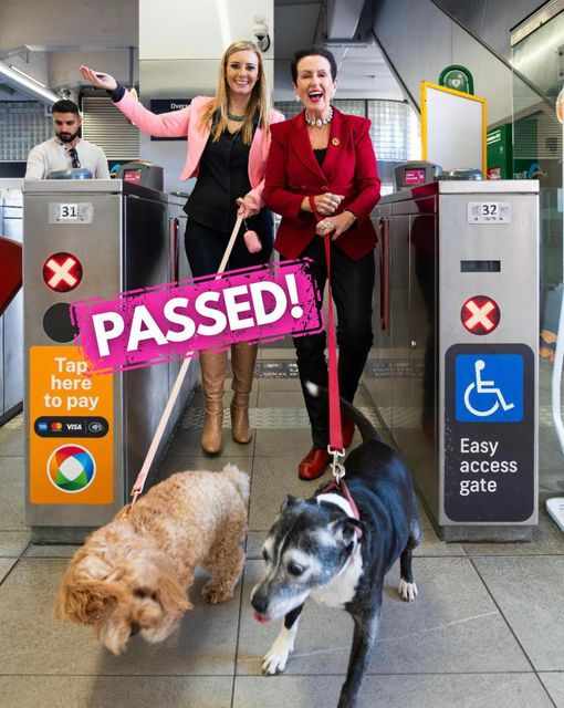 Hon. Emma Hurst from Animal Justice Party and Lord Mayor Clover Moore both support calls for pets on public transport