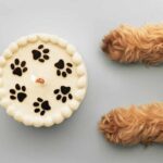dog paws near dog birthday cake for birthday party for pets article with Lara Shannon