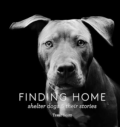 Cover of pet photography book Finding Home: a beautiful book with photos and stories of shelter dogs who have been adopted