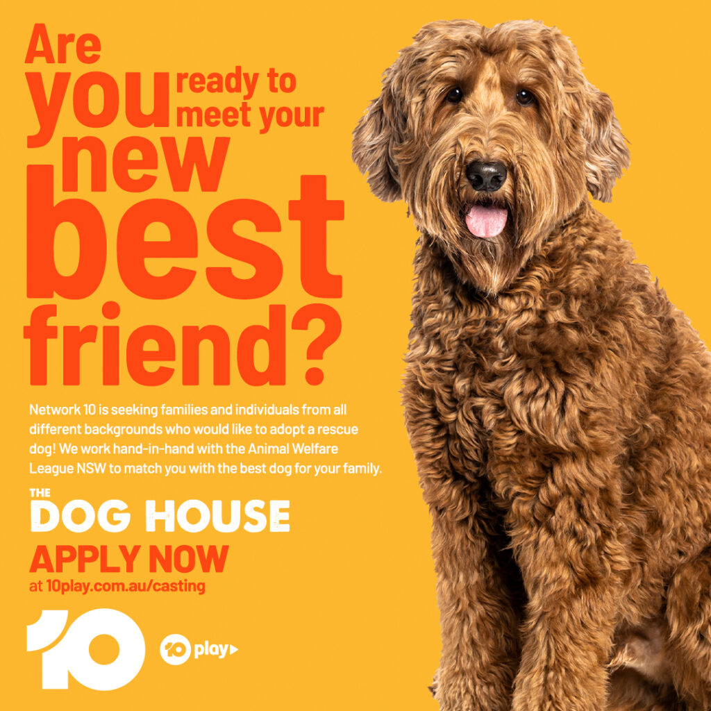 Brown dog advertising The Dog House Australia 