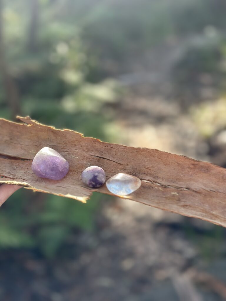 Crystals on a piece of bark for a photoFor Crystal therapy for pets