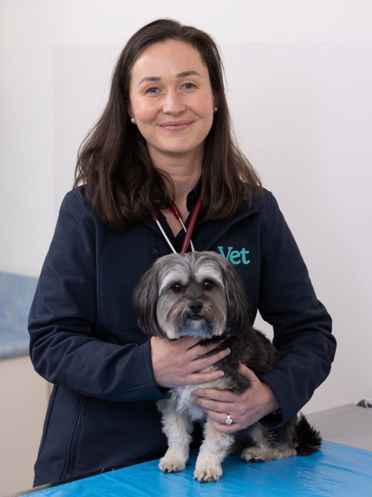 Dr Sasha from Petstock for how to help your overweight dog