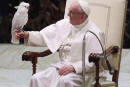 Pope Francis with Cockatoo bird