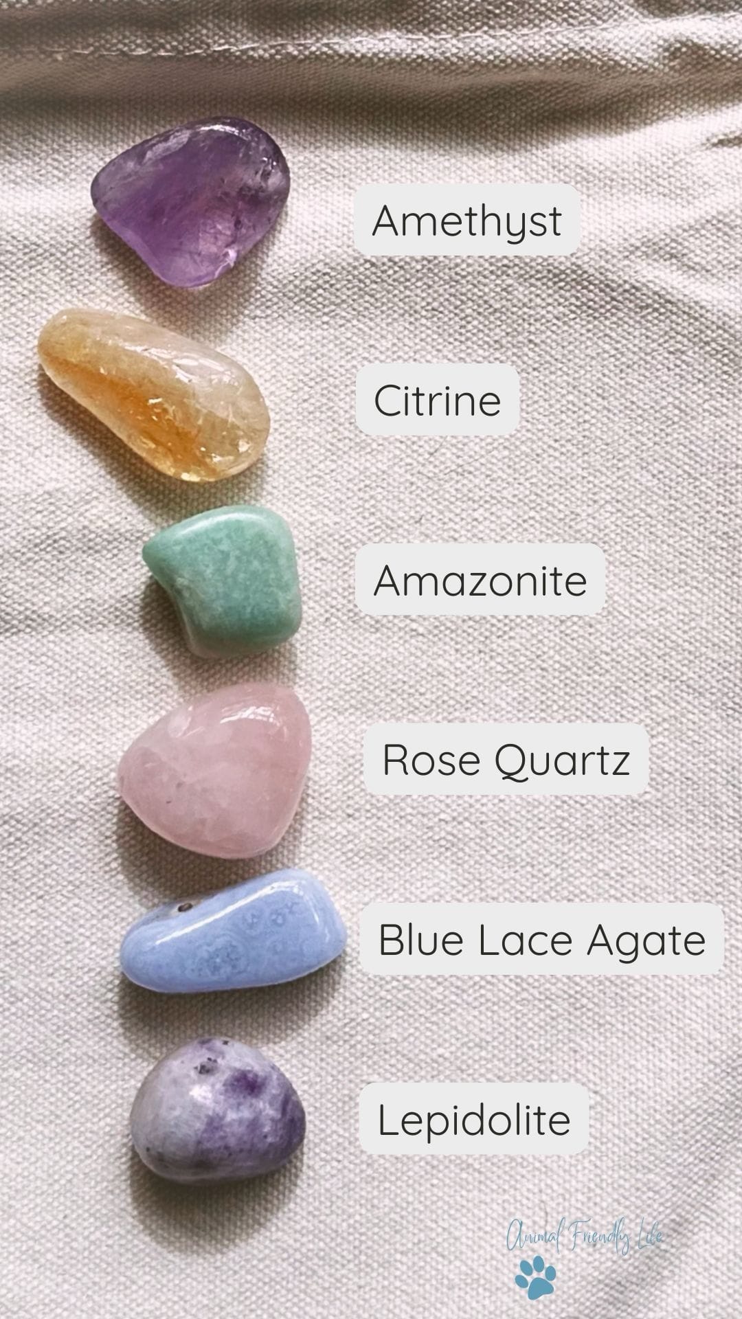 Healing crystals for dogs: 6 crystals for pet anxiety, stress - Image 3