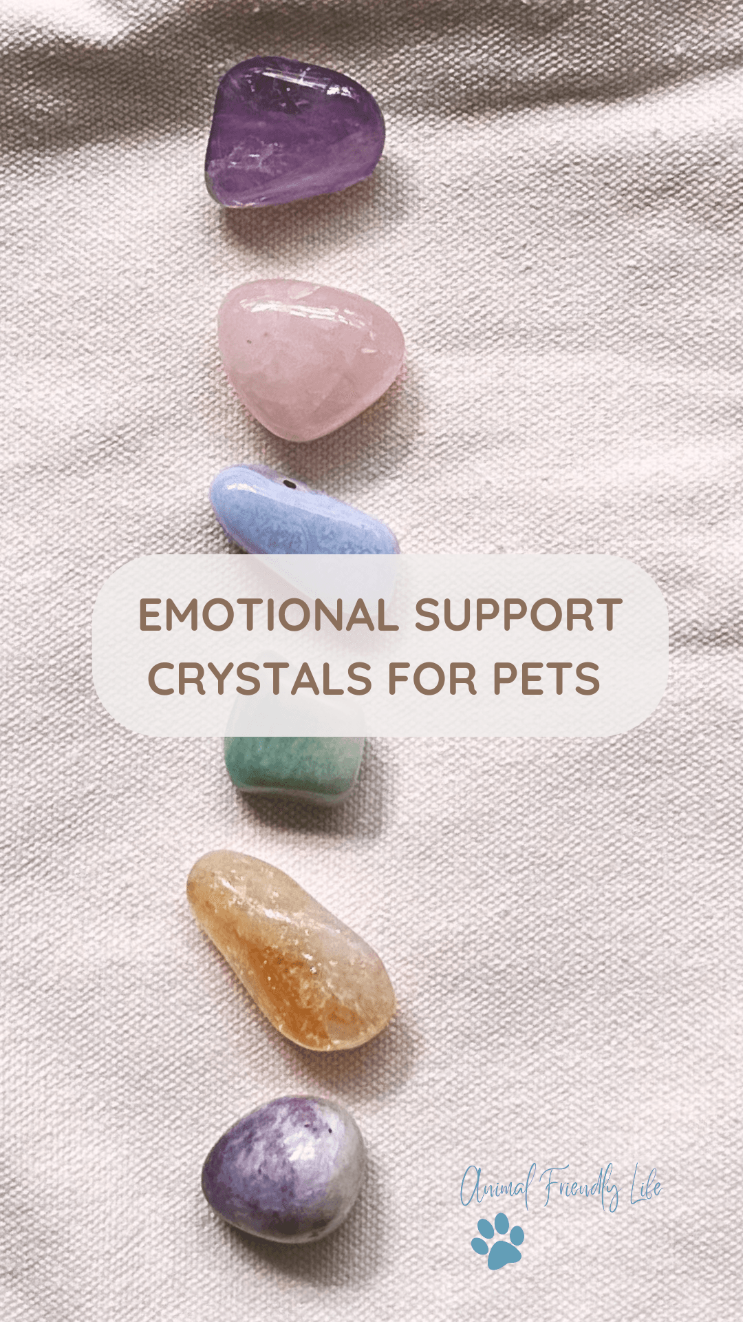 Healing crystals for dogs: 6 crystals for pet anxiety, stress - Image 5