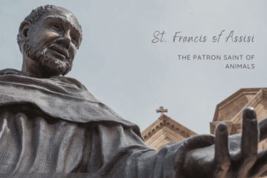 Cream Minimalist Calligraphy Saint Francis Feast Day Instagram Post (1024 x 800 px)